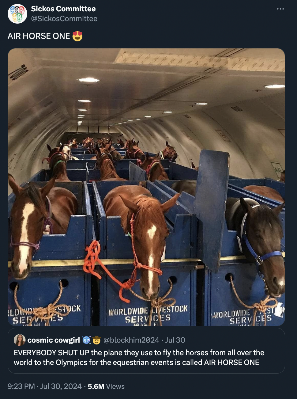 horse plane transport - Sickos Committee Air Horse One Lding Stuck Services Worldwide Restock Services Worldwide Services cosmic cowgirl 30 Everybody Shut Up the plane they use to fly the horses from all over the world to the Olympics for the equestrian e